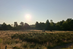 2-wandeling_01