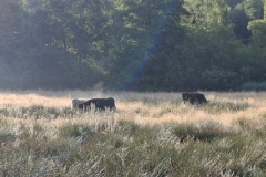 2-wandeling_02