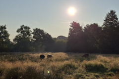 2-wandeling_03
