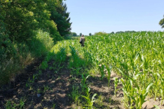 2-wandeling_30