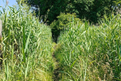 2-wandeling_31