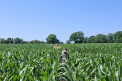 2-wandeling_40
