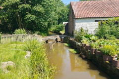 2-wandeling_51