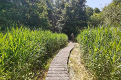 2-wandeling_64
