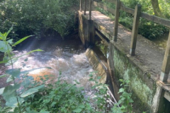 2-wandeling_76